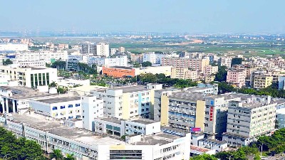 冬至陽生，春歸有期丨靈科超聲波與您共迎歲末暖陽